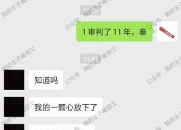 91秦先生国产,国产生态下的创新与突破