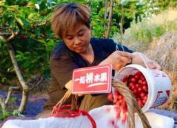 水莓100线在线观看国产,水莓100线，在线观看新体验