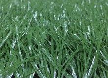 草国产,探寻自然与文化的交融之地