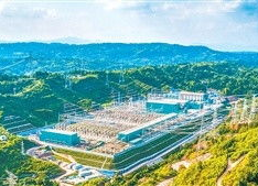 偷自国产,偷自国产生态发展之路