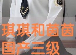 国产三级不卡在线电影,激情四溢的视听盛宴